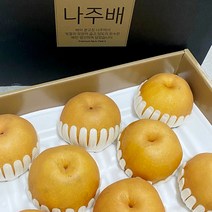 나주 원황배 가정용/특품 5kg 7.5kg 선물세트, 특품 선물용) 5kg(5~7과)