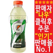 게토레이 레몬 600ml X 40개 이온음료/스포츠음료증해소/음료수/롯데칠성