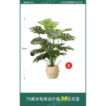 몬테스라 식물 그린잎 조화 몬스테라 인테리어, 70cm거북이등꽃바구니