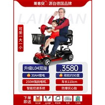 노인전동차 전동카 어르신 소형전기차, 24V, 2인승30Ah 리튬 배터리90마일250W