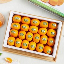 제주 감귤 3kg 로얄과 고당도 불로초, 상세페이지 참조, 상세페이지 참조