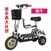 전기자전거 바구니자전거 전동자전거 3발 여성용 시장용 엄마자전거, F, 48V