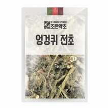 굿허브 엉겅퀴 전초(대계초) 200g, 단품