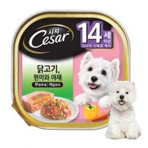 시저 시니어 반려견 주식캔 14세 이상 닭고기와 야채, 닭, 100g, 12개