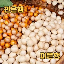 국내산 건강하고 고소한 충남 공주 은행 대 사이즈, 깐은행 대 1kg