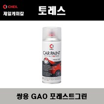 쌍용 토레스 GAO 포레스트그린 주문스프레이 자동차 도색 차량용 카페인트