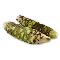 생와사비 2~3뿌리 (약50g) 가락시장 직송 국산