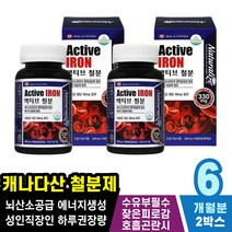혈액형성 탈모증상 산후영양제 신진대사촉진 예민해질때 안면떨림 노르에피네프린 식욕부진 두통에좋은 근육긴장완화 손톱갈라짐 철분제변비 심장두근거림