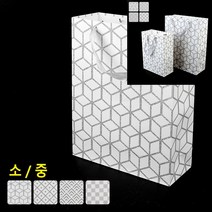 실버 반짝이 쇼핑백 소 - 육면체 종이쇼핑백제작 답례품상자 종이가방도매 포장백 선물포장 포장가방 꽃다발쇼, 중 - 사각 도트