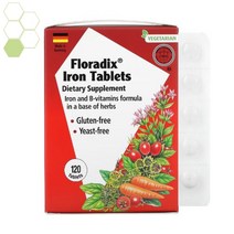 가이아허브 floradix 글루콘산 철 캡슐 120 정, 1