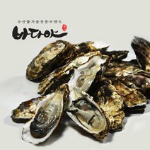 (주)우진 통통한 알맹이 찜 구이용 석화(각굴), 15kg