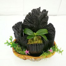 희망참숯농원 백탄참숯숯부작, 1