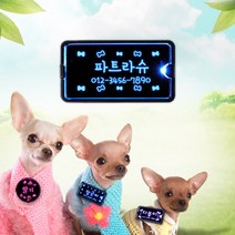 조아애드 LED강아지 이름표 사각숏, 블루, 애완209