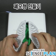 엑스사이언스 초등 신기한 과학실험 [호흡과 호흡기관] 폐모형 만들기, 5인