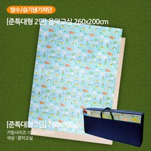 굿팩 고밀도 방수습기차단 특대형 캠핑매트 260x200 음악교실