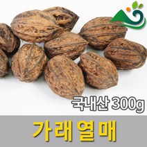 가래열매(300g)-국내산, 300g
