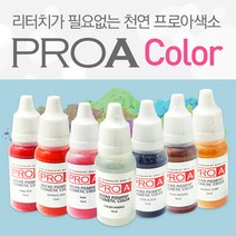 프로아 반영구색소 반영구화장 색소 추천, 버블검