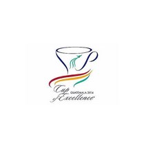 Guatelmala 2014 COE#2 El injerto, 더치, 200g