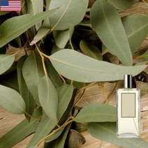 왈트 조말론 파인&유칼립투스 아로마 오일, 03.파인&유칼립투스 100ml, 1개