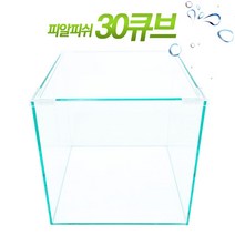 피알피쉬 큐브 30, 1개
