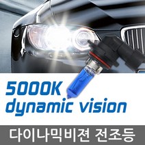 다이나믹비젼 할로겐 램프 전조등, 1개