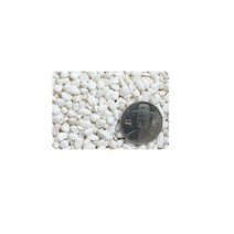 그린플랜트 화분 분갈이용품 흙 마사토 배양토 식물영양제, 분갈이용품_장식용돌(1kg)-흰색, 1개