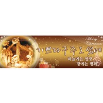 이베이비랜드 크리스마스 현수막, 선택2) 크리스마스현수막_[문구 가로형] M17_기쁘다구주오셨네
