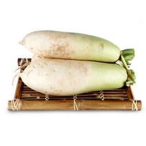 햇살조은 김장재료, 일반무우5kg, 1개