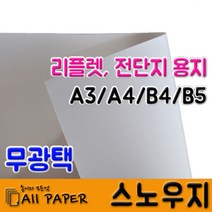 올페이퍼 스노우지, 스노우지 120g_A4_250매