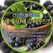 성복농원 무농약 아로니아생과 기타과일, 1박스, 아로니아생과 10kg
