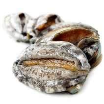 하늘뜰 완도 참전복 1kg 세트, 없음, 완도 참 전복 1kg(15-16마리)