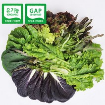 푸르젠 당일 수확 발송 유기농 모듬 쌈채소(야채), 1개, 600g