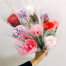 다니엘라 카네이션 장미 비누꽃 한송이, 카네이션-연보라