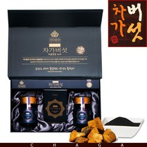 바이칼허브 차가버섯 추출분말 동결건조 (25gx2병), 25g, 2병