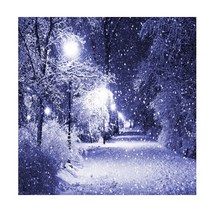 [1+1 액자증정] 톡톡보석십자수 3D 풍경시리즈 DIY 액자 세트, 눈오는밤, 40x30