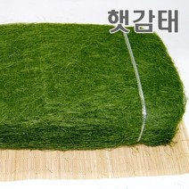 햇감태100장, 100장