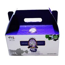 아로니아 100gX6 단양 아로니아 분말 가루 파우더 무농약 추석선물, 600g, 1개