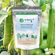 무농약 작두콩으로 만든 작두콩수세미차20g 20티백, 3개