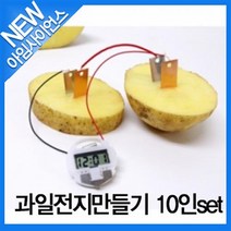 [아임사이언스]과일전지만들기 10인세트