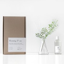 블루밍앤미 그린 leaf 디퓨저(아디안텀), 투명:피치