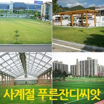푸르네오 [오후5시 이전 주문 당일 발송] 사계절푸른잔디씨앗 잔디씨 잔디씨앗 정원용 (모래), 1개