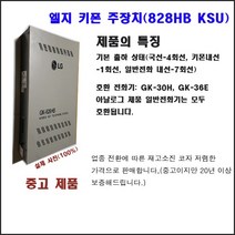 엘지 키폰 전화기(828HBKSU)