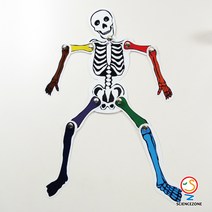 사이언스존 [칼라뼈 아저씨 5인용] 과학실험키트 학습교구세트