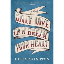 Only Love Can Break Your Heart 페이퍼북, Algonquin Books
