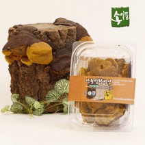 송일품 상황버섯(목질진흙버섯) 50g, 2개, 2개