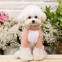펫디자인 라인나그랑 티셔츠 강아지옷, 피치
