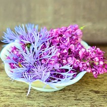 [엔피솝] 캔들향오일 21종 DIY 향수 디퓨저 비누 화장품만들기, 03.라일락F.O_10ml