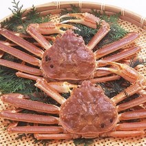 이강크랩 직수입 신선짱 스노우크랩 대게 총2.4kg (800g 3마리), 1개, 2.4kg