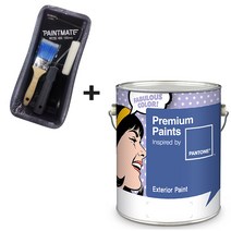 노루페인트 프리미엄 팬톤페인트 외부용 1L 간단세트, 계란광 13-3805 Orchid hush