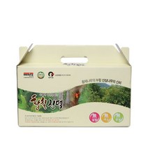 자체브랜드 상쾌한 아침을 여는 황칠진액, 수량